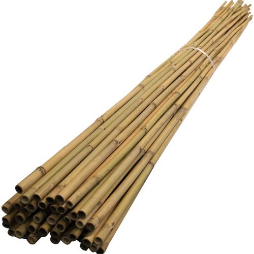 bamboo garden cane ten pack
